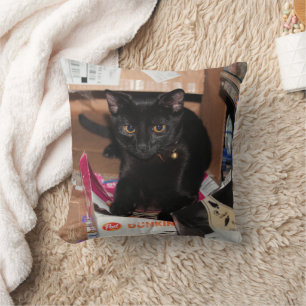 Cat Cushion