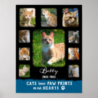 Cat Custom Photo Collage Faded Borders Black Blue