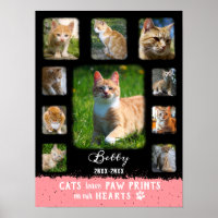 Cat Custom Photo Collage Faded Borders Black Pink