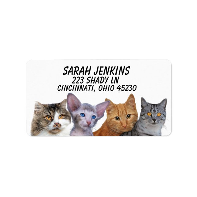  CAT CUTE ROW OF CATS Return Address Labels (Front)