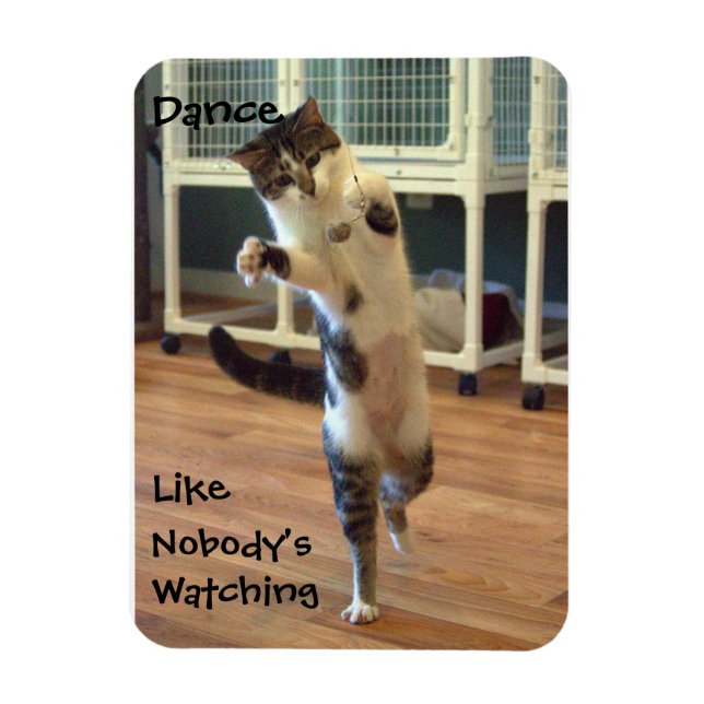 Cat Dance Magnet (Vertical)