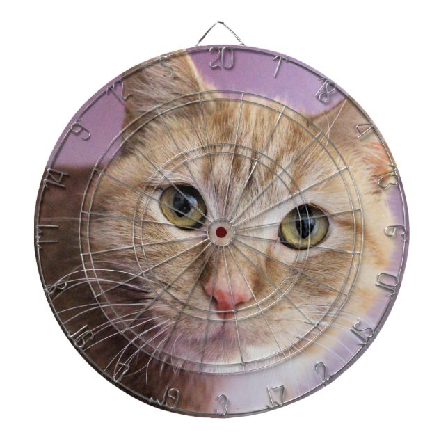 Cat Dartboard (Front)