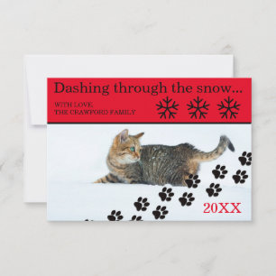 Cat Dashing Through the Snow - 3x5 Christmas Card