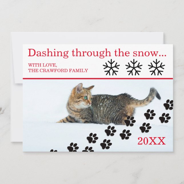 Cat Dashing Through the Snow - Christmas Card (Front)
