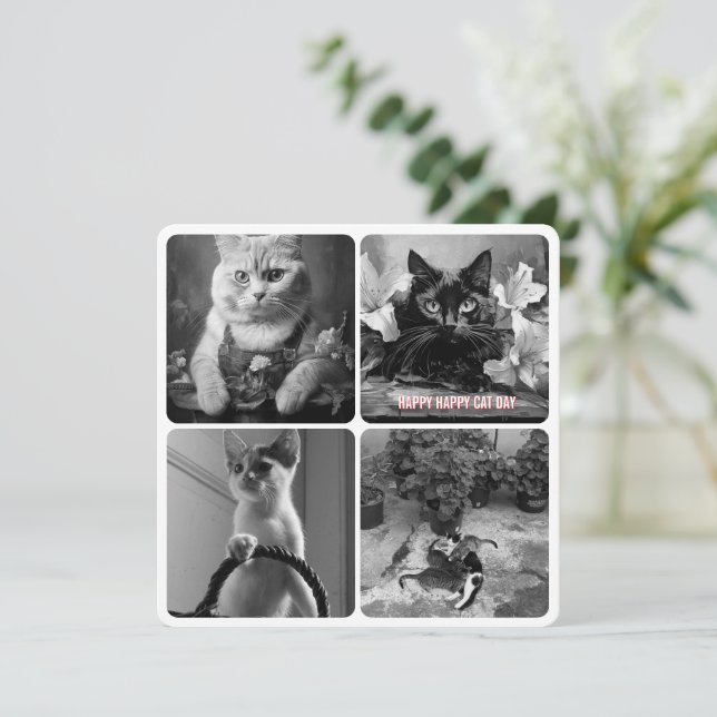 cat day black white red  (Standing Front)