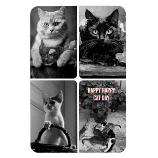 cat day black white red  magnet