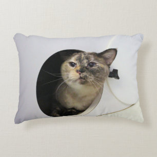 Cat  decorative cushion