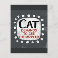 Cat Demands To See Manager Postcard