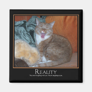 Cat Demotivator Magnet