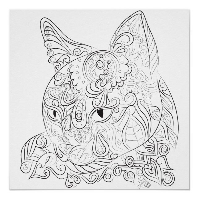 Cat design: Coloring poster (Front)