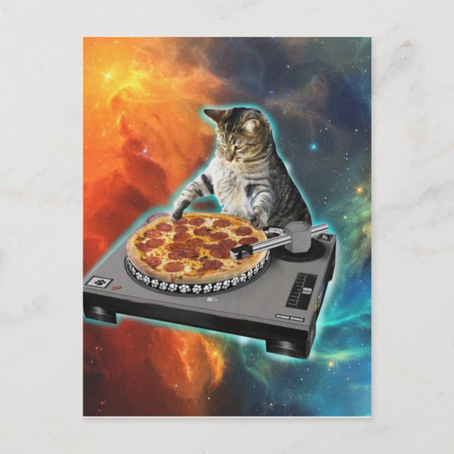 Cat dj disc jockey's sound table postcard (Front)