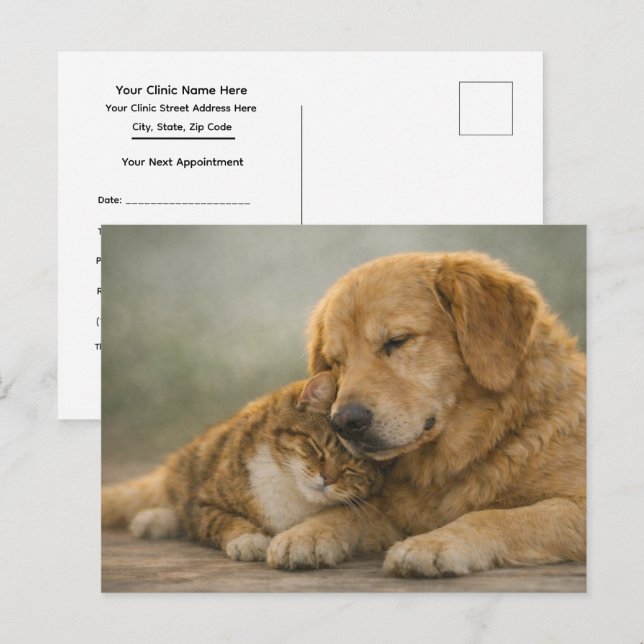 Cat & Dog Cuddling Veterinary Appointment Reminder Postcard (Front/Back)