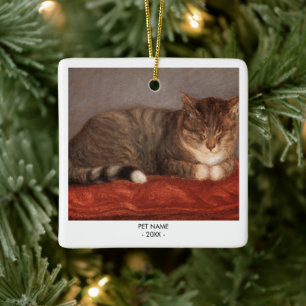 Cat Dog Photo Pet Memorial Gift Portrait Christmas Ceramic Ornament
