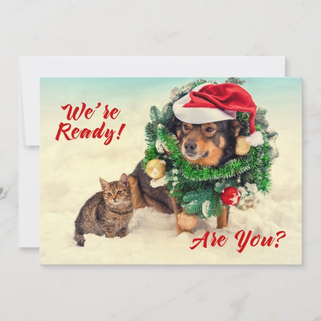 Cat & Dog Two Sided Christmas Card (Front)