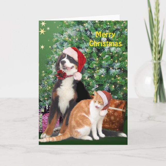 Cat & Dog with Santa Hats Holiday Card (Front)