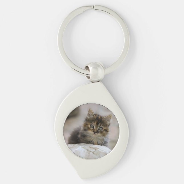 Cat, Domestic cat, Animal Key Ring (Front)