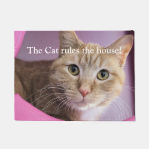 Cat Doormat
