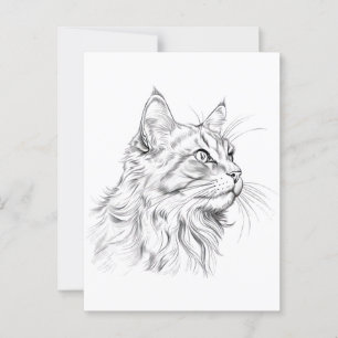 Cat drawing postcard