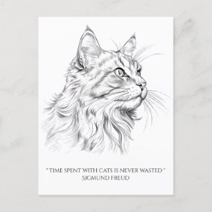 Cat drawing postcard