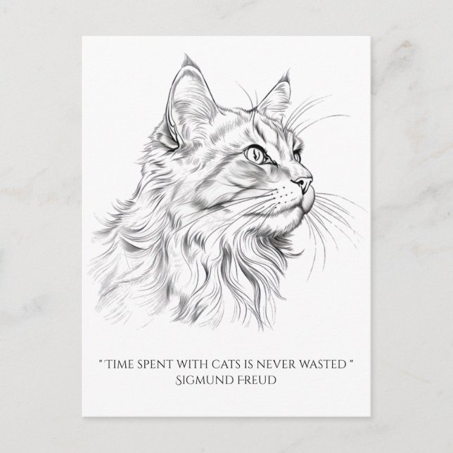 Cat drawing  postcard (Front)