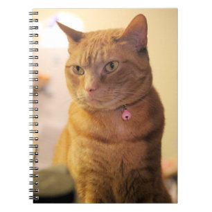 Cat Drawstring Bag Notebook