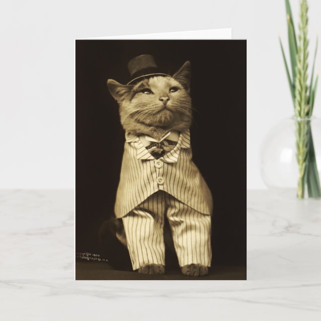 Cat Dressed up from 1906 Vintage Greeting Card (Front)