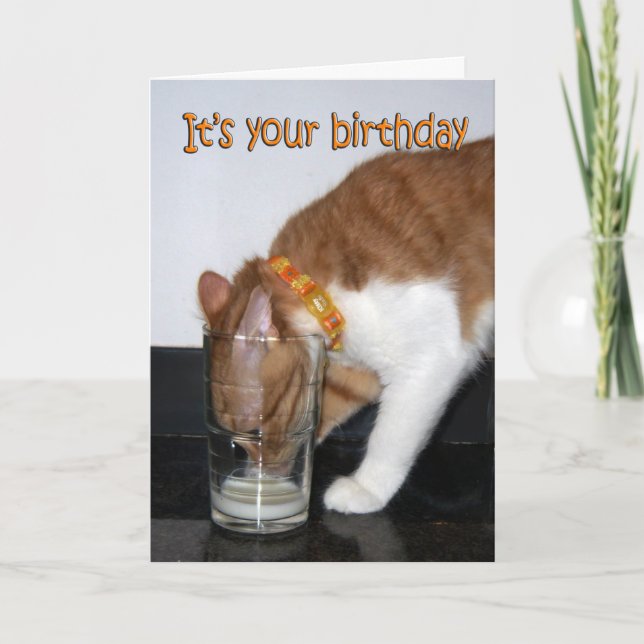 Cat Drinking from Glass Happy Birthday Card (Front)