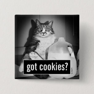 Cat Drinking Milk From Jug 15 Cm Square Badge