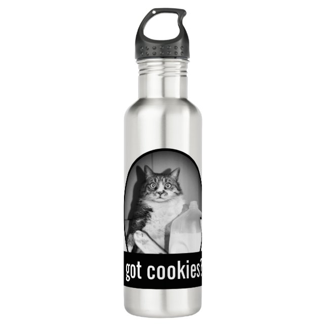 Cat Drinking Milk From Jug 710 Ml Water Bottle (Front)