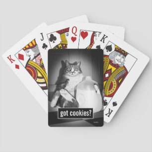 Cat Drinking Milk From Jug Playing Cards