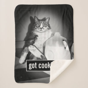 Cat Drinking Milk From Jug Sherpa Blanket