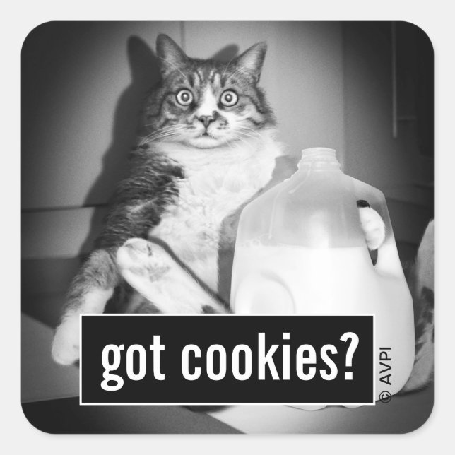 Cat Drinking Milk From Jug Square Sticker (Front)