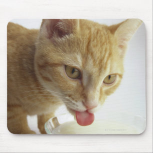 Cat drinking milk mouse pad