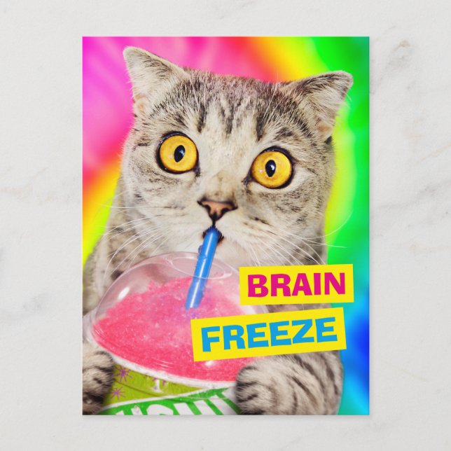 Cat Drinking Slushie Invitation Postcard (Front)