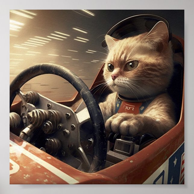 Cat driving racing car poster (Front)