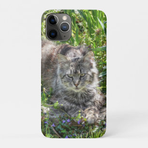 Cat During Eclipse Case-Mate iPhone Case