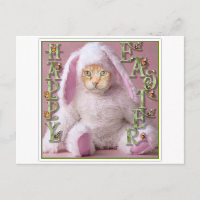 Cat Easter Bunny Claude Holiday Postcard (Front)