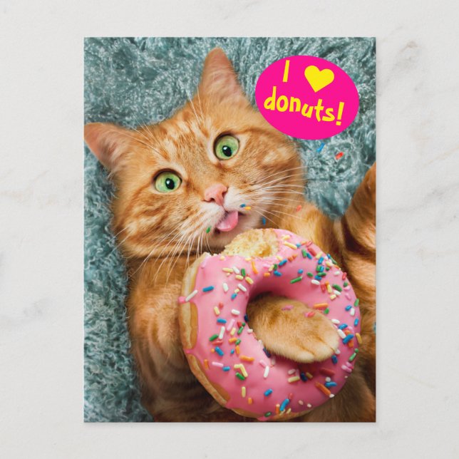Cat Eating Doughnut Invitation Postcard (Front)