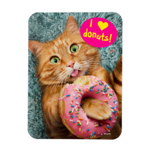 Cat Eating Doughnut Magnet