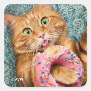 Cat Eating Doughnut Square Sticker