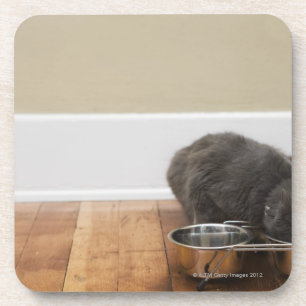 Cat eating from bowl coaster
