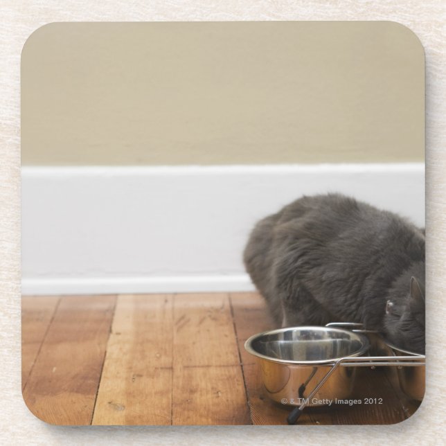 Cat eating from bowl coaster (Front)