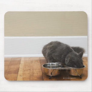 Cat eating from bowl mouse pad