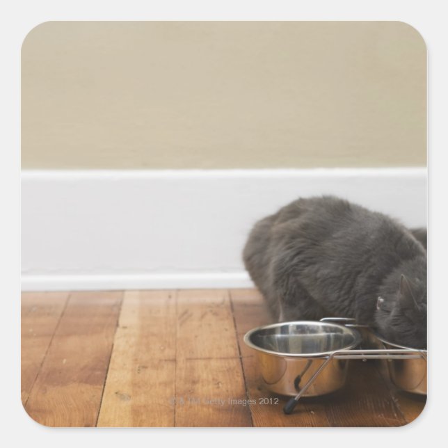 Cat eating from bowl square sticker (Front)