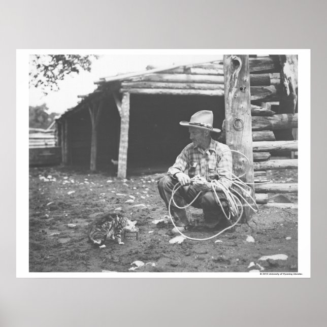 Cat eating out of a coffee can. poster (Front)