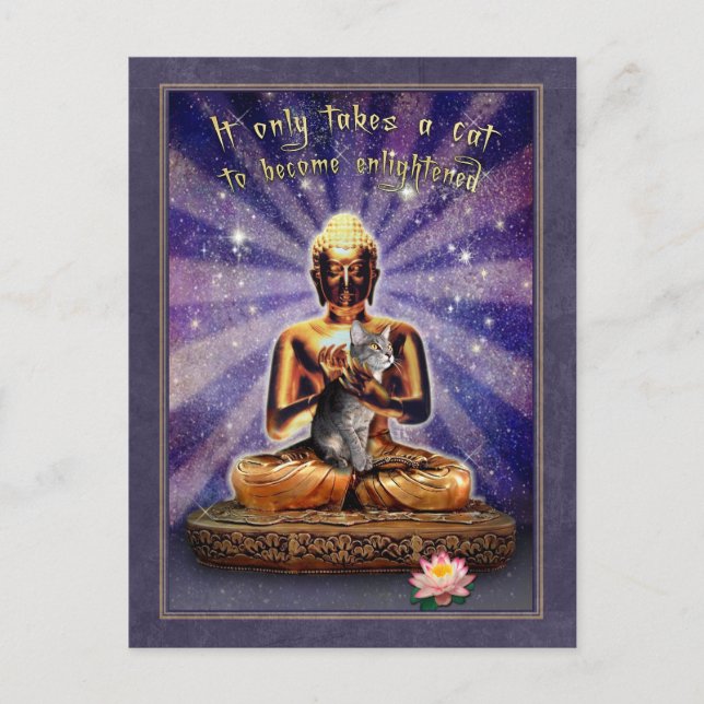 Cat Enlightenment Postcard (Front)