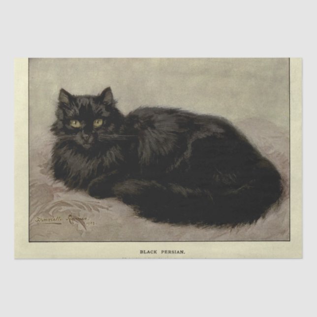 Cat Ephemera Decoupage Black Persian Tissue Paper (Front)