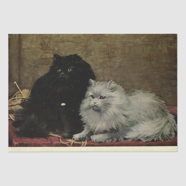 Cat Ephemera Decoupage Black White Persians Tissue Paper (Front)