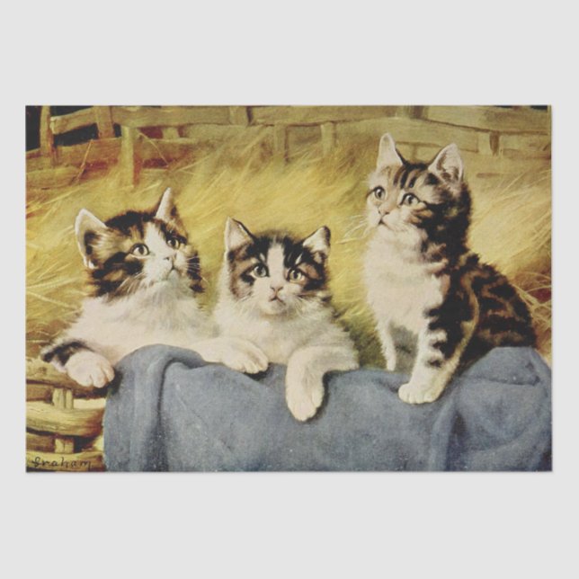 Cat Ephemera Decoupage Kittens in the Barn Tissue Paper (Front)