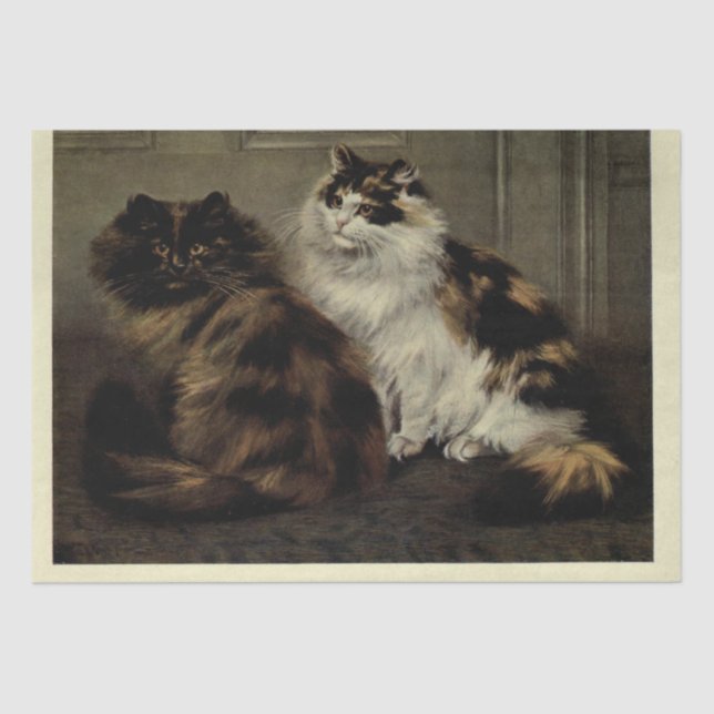 Cat Ephemera Decoupage Tortoiseshell Black White Tissue Paper (Front)